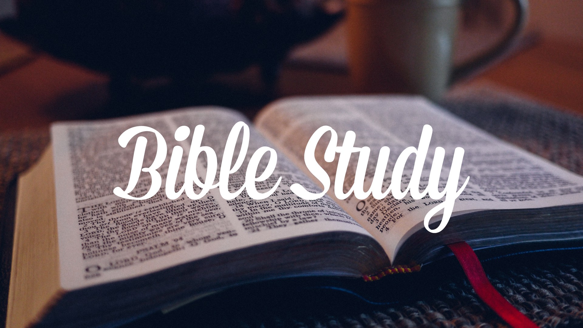 Bible Study